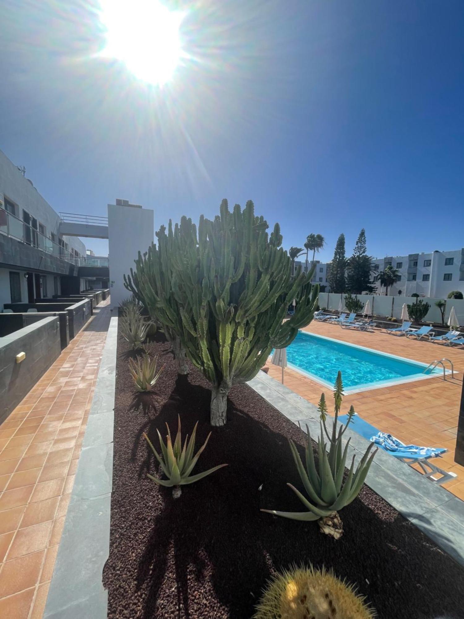 Appartamento Sunrise Corralejo Esterno foto